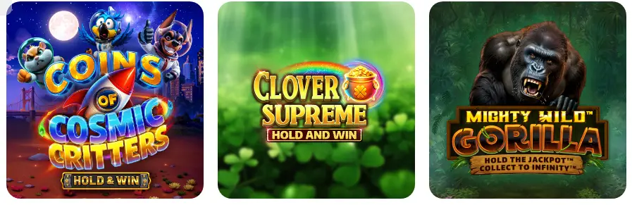 Overzicht van de BETFIRST BE
